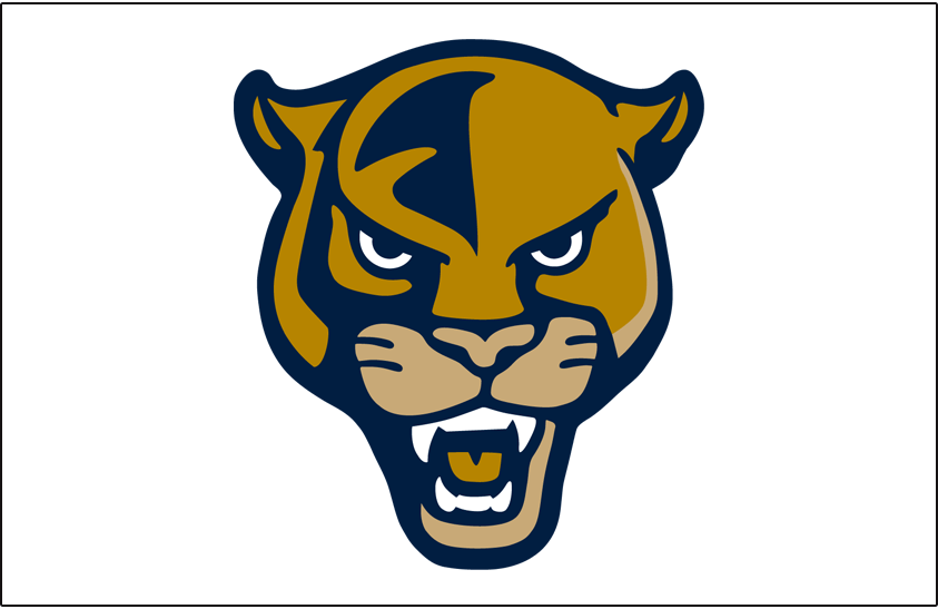FIU Panthers 2019-Pres Helmet Logo diy iron on heat transfer